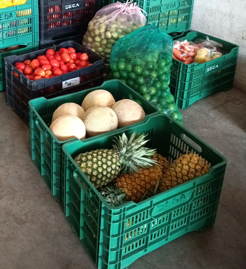 Cajas SEGA con jitomate, limón, melón y piña listas para entregar